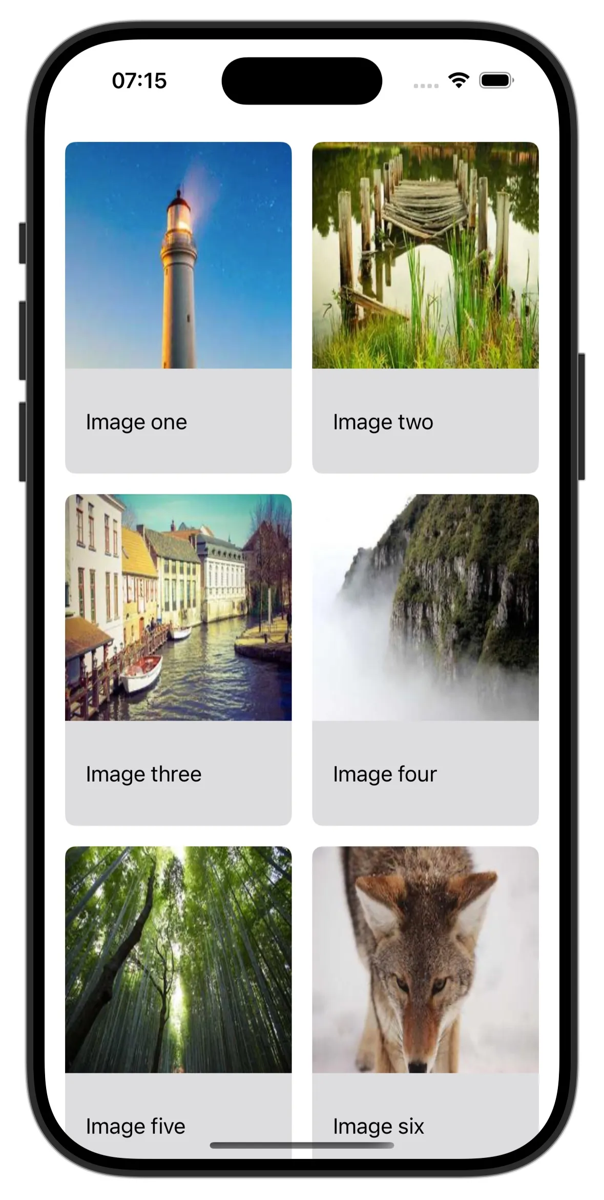 An image of an iPhone showing a list of image tiles with  2 in each row, each with a title underneat, the images look squashed in from the sides making them not look that great.